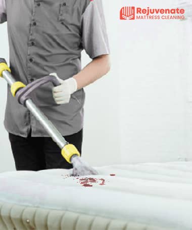 Mattress Sweat Urine and Stain Removal Service