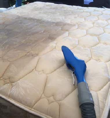 Our Mattress Cleaning Company In Adelaide