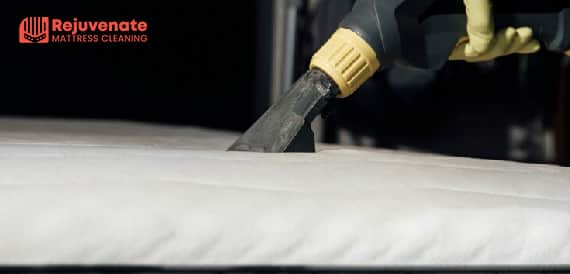 Our Mattress Cleaning Services In Perth