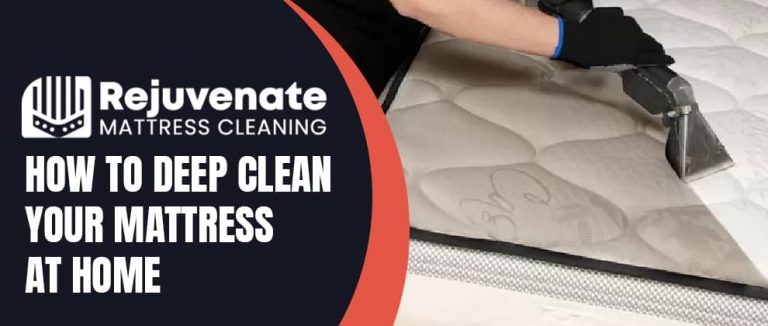 Deep Clean Your Mattress At Home Home » How To Deep Clean Your Mattress At Home