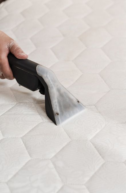 Mattress Cleaning Company In Kambah