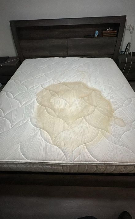 Mattress Steam Cleaning